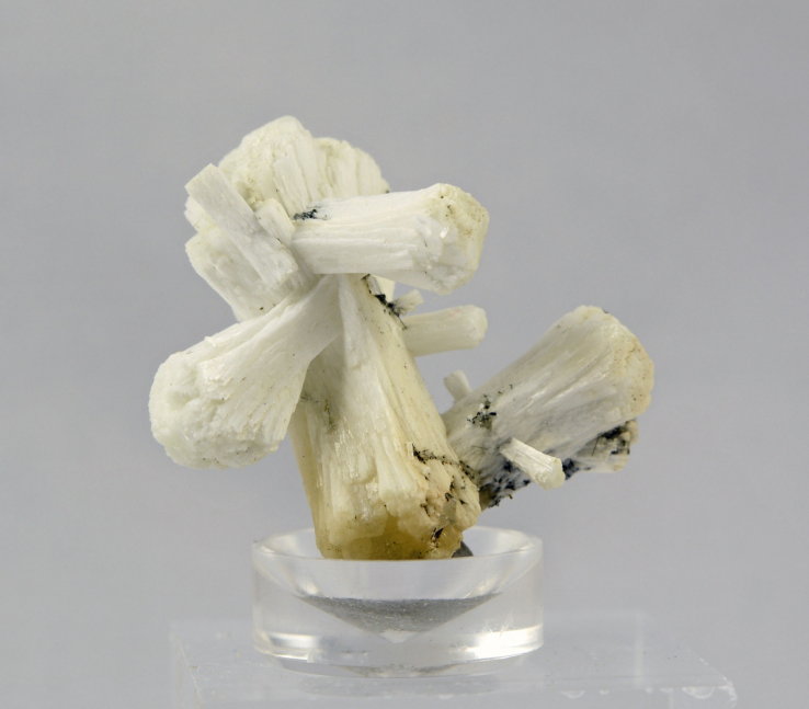 M128 Desmin 3.3 cm Wannigletscher