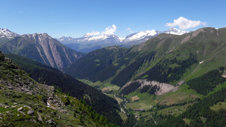 Gorb, Fäld, Breithorn